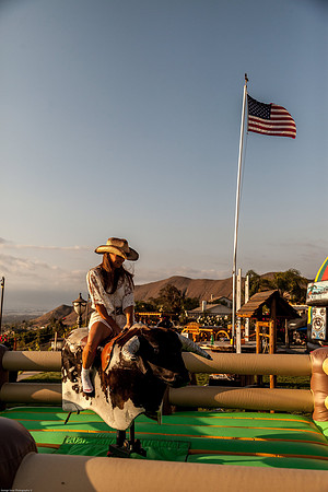 Oliver 40BD-0256L