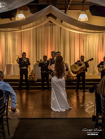 AHW22-0456s