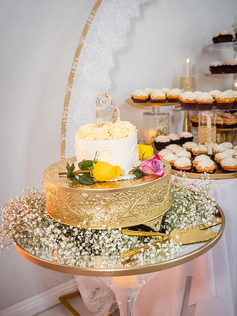 Jaime+Elisa 50th-0173L