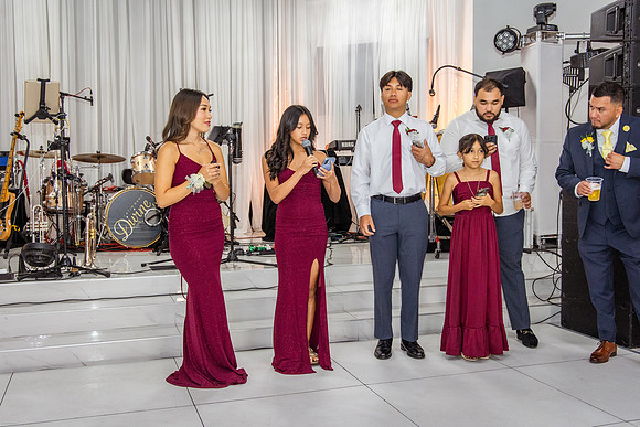 Jaime+Elisa 50th-0450L