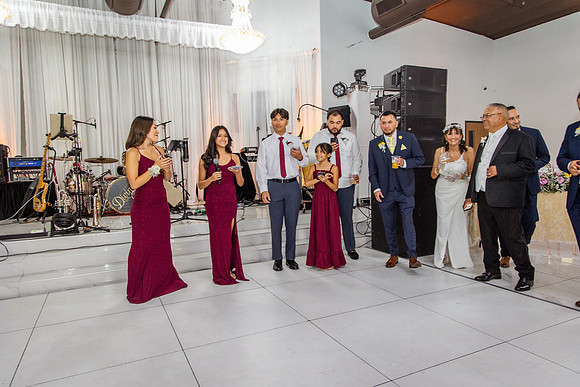 Jaime+Elisa 50th-0446L