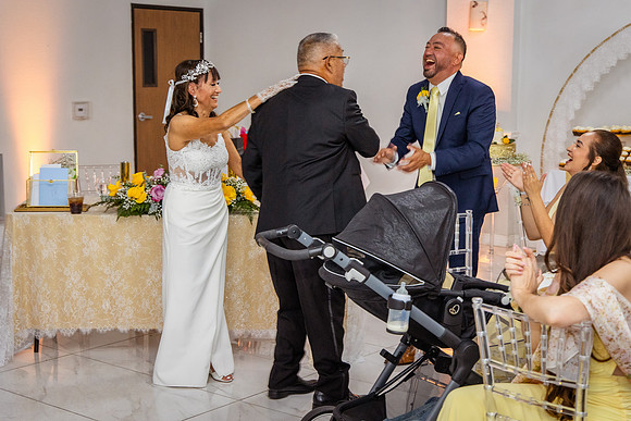 Jaime+Elisa 50th-0374L