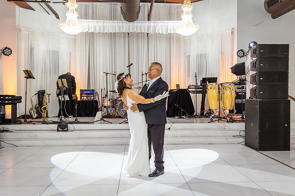 Jaime+Elisa 50th-0208L