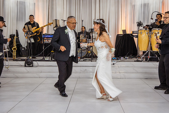 Jaime+Elisa 50th-0341L
