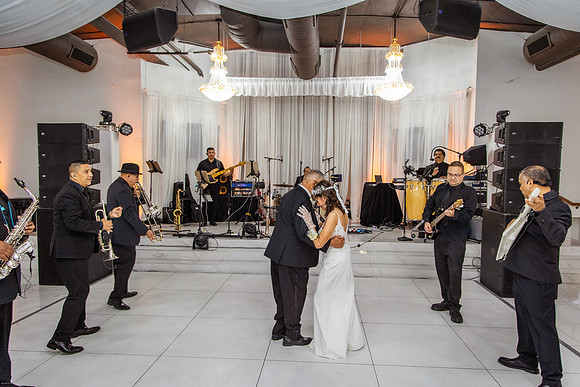 Jaime+Elisa 50th-0337L