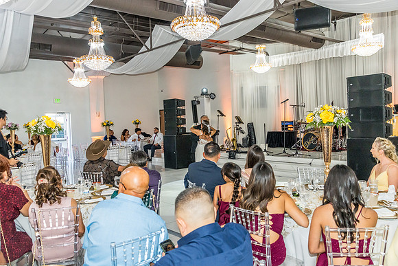 Jaime+Elisa 50th-0214L