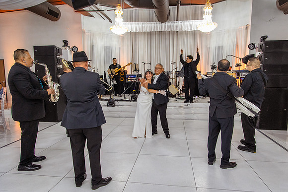 Jaime+Elisa 50th-0366L