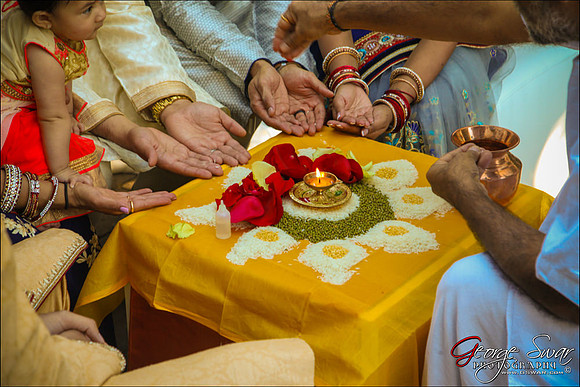 VADGAMA16-0366