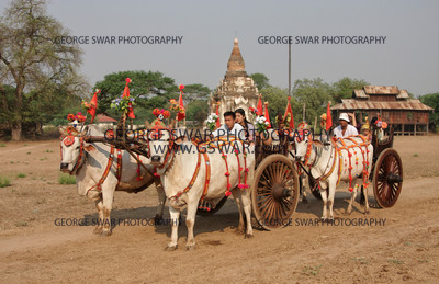 MM08-  3059 - Version 2
