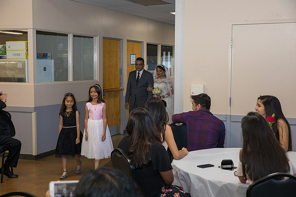 WSW-0223