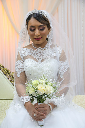 WSW-0462