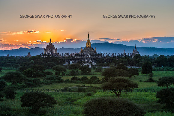 GS1105-2562-Edit