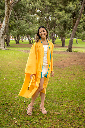 AIMEE2020-06-0001
