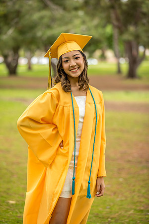 AIMEE2020-06-0004