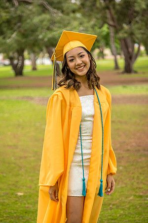 AIMEE2020-06-0003