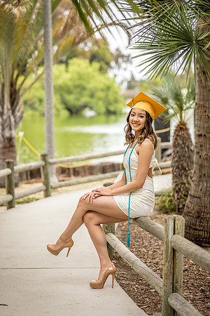 AIMEE2020-06-0103