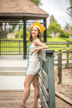 AIMEE2020-06-0110