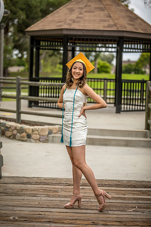 AIMEE2020-06-0120