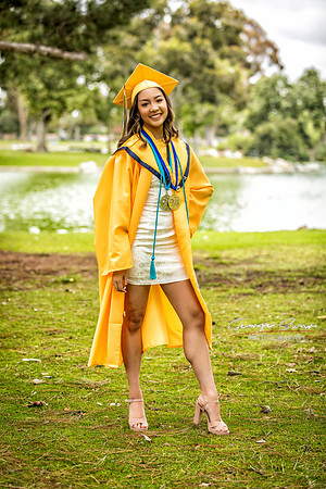 AIMEE2020-06-0016A